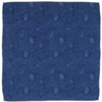 BETHWINPS | NAVY